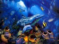 dolphin blue underwater